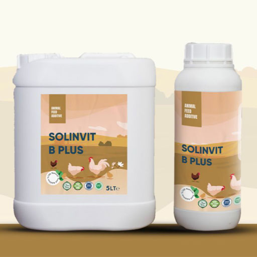 SOLİNKON B PLUS 5 LT