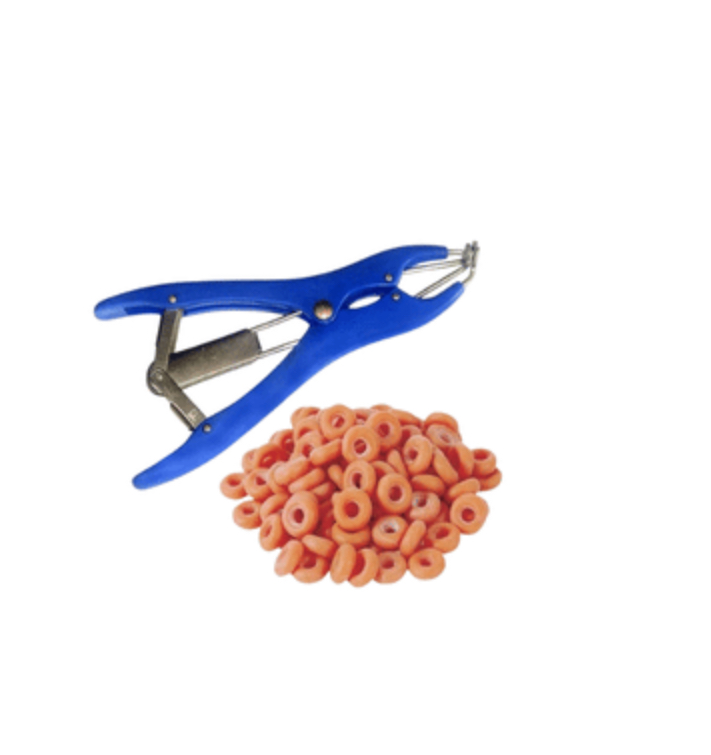 PLASTİK BOYNUZ VE KUYRUK DÜŞÜRME ELASTRATÖR PENSİ + 100 ADET LASTİK HEDİYELİ