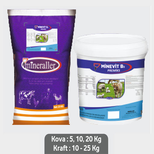 MİNEVİT B3 20 KG KOVA görsel 1