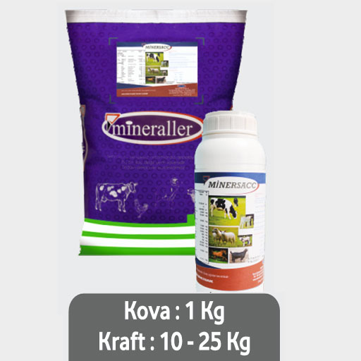 MİNERSACC 25 KG KRAFT
