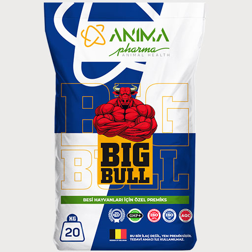 BİGBULL